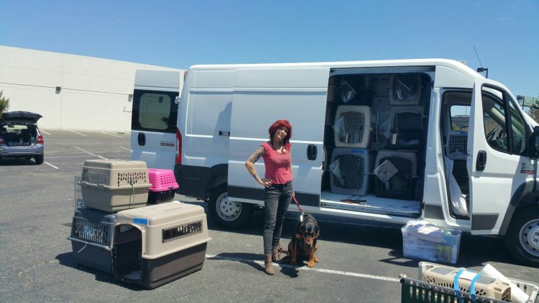 Перевозка домашних животных в Европу (ЕС)